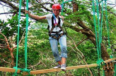 Image representing Jungle Swing