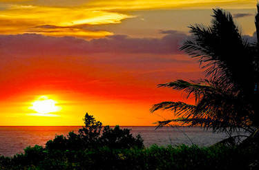 Image representing  Sightseeing