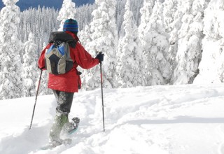 Image representing Snowshoeing