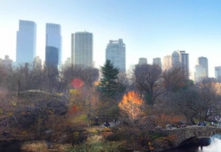 Image representing New York